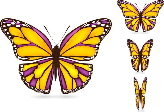 colorful butterflies set with realistic vector illustration