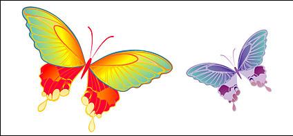 colorful butterfly elements vector