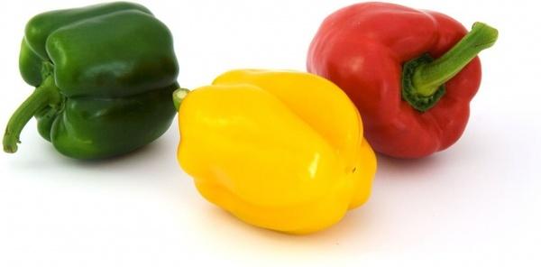 colorful food pepper