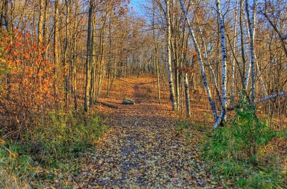 colorful hiking trail at kettle moraine north wisconsin