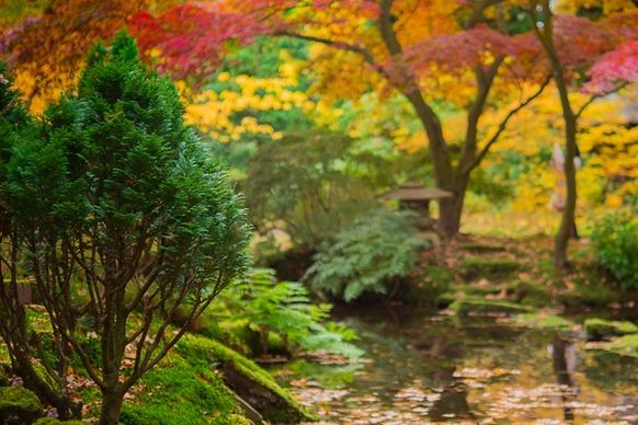 colorful japanese garden