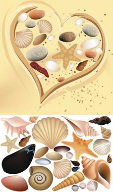 colorful shell vector