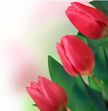 tulip background red blooming decor realistic design