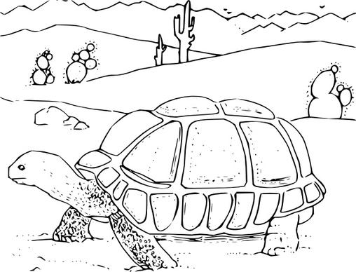 Coloring Book Desert Tortoise clip art
