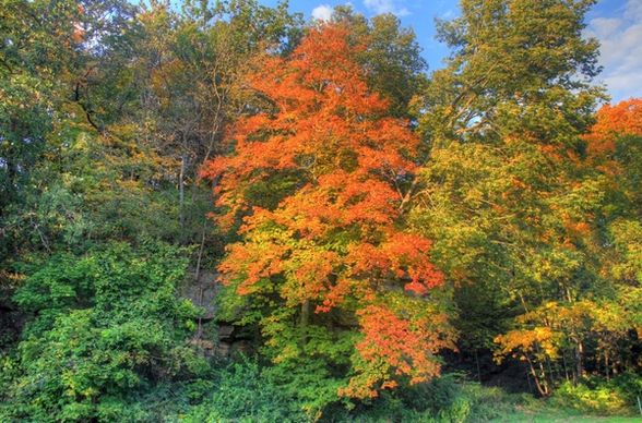 colors of autumn on the trees at apple river canyon state park illinois