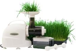 Compact wheatgrass juicer