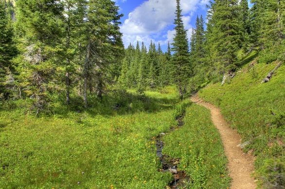 continental divide trail at rocky mountains national park colorado