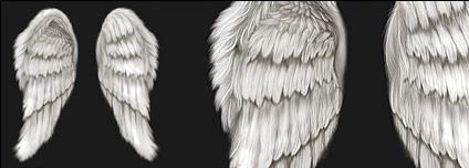 Cool wings psd layered material
