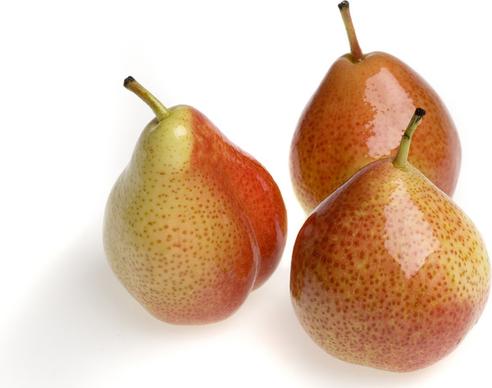 corella pears