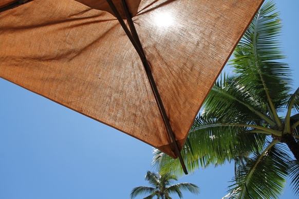 corner of umbrella under palm tree