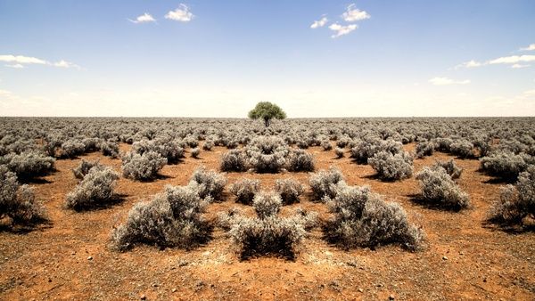 country desert dry environment field land landscape
