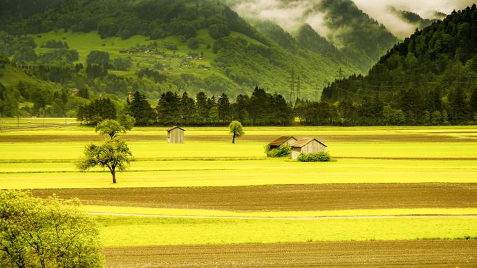 countryside scenery picture peaceful field scene