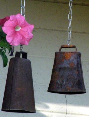 cowbells and flower