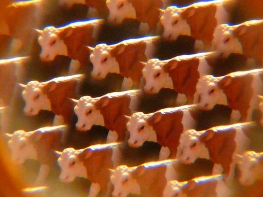 cows kaleidoscope art