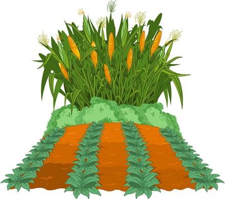 creative corn art background vector