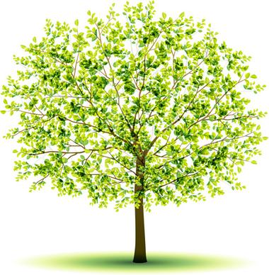 creative green tree design vector graphics