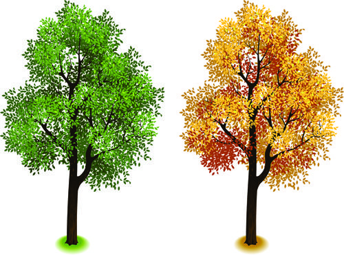 creative isometric trees design vector