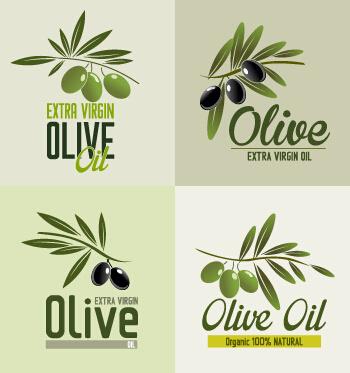 creative olive oil logos vectors