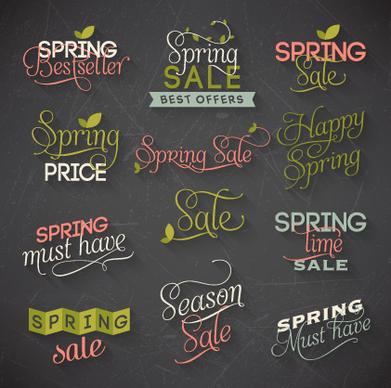 creative spring typography vector