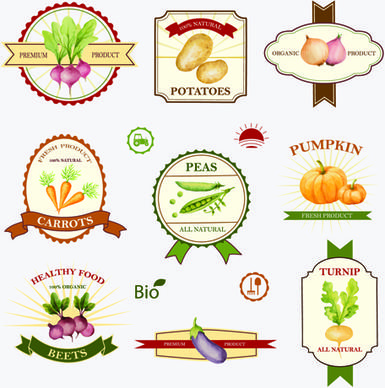creative vegetables labels vintage vector