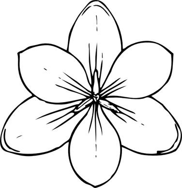 Crocus Flower Top View clip art