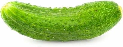 cucumber photo picture