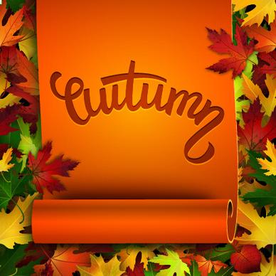 curled paper and autumn leaves background vector