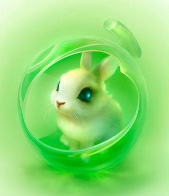cute bunny hd picture