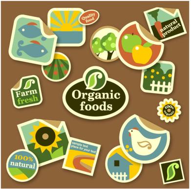 cute organic foods sticker vector