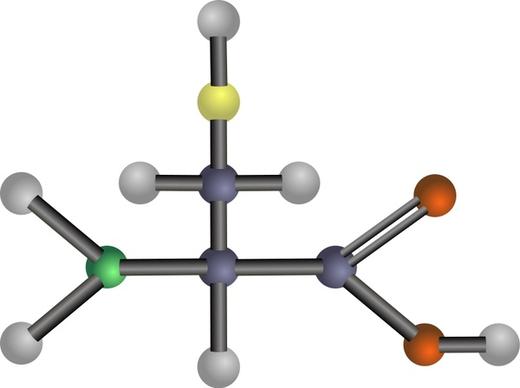Cysteine (amino acid)
