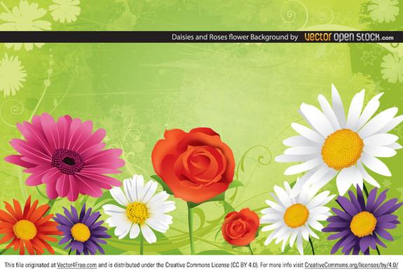 daisies and roses flower background