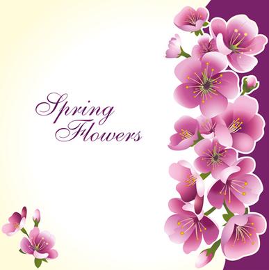 dark pink flower spring background set vector