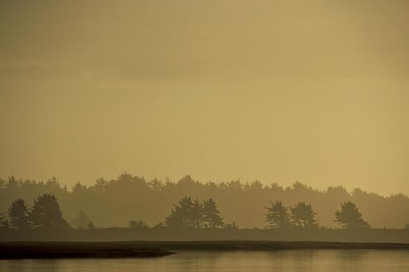 dawn evening fog forest haze lake landscape light