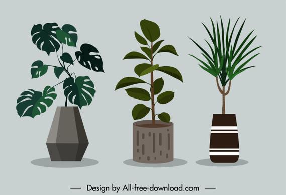 decorated houseplant icons colored classical design