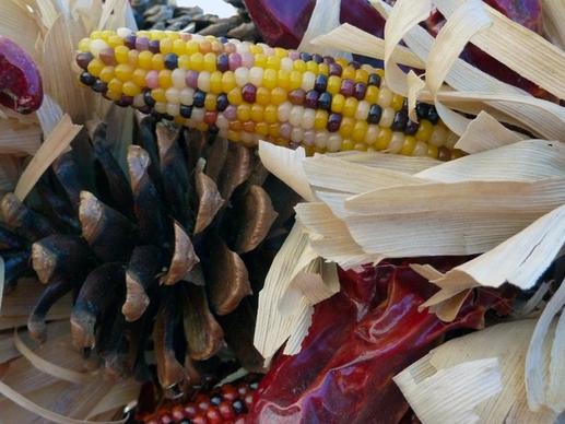 decoration dried corn