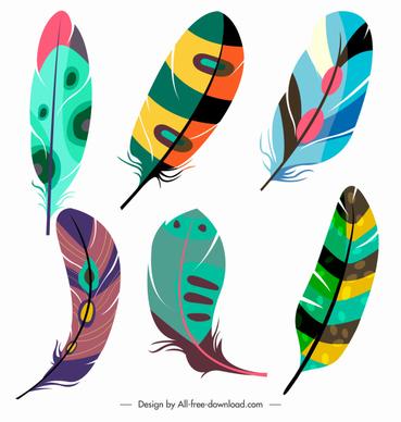 decorative feather icons colorful fluffy sketch