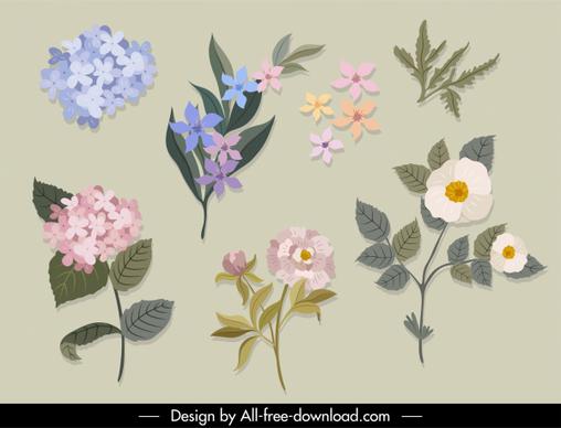 decorative flowers icons colorful elegant classic design