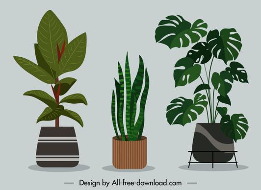 decorative houseplant background colored flat classic sketch
