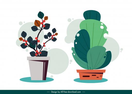 decorative houseplant icons colored classical flat design
