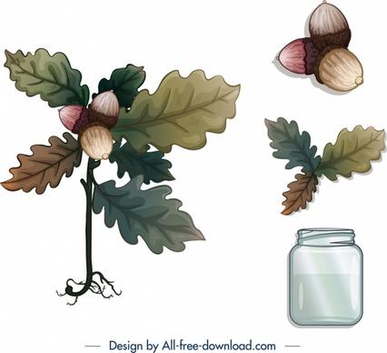 decorative plants icons leaf chestnut jar sketch