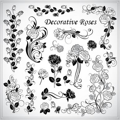 decorative roses elements elegant black white classic handdrawn