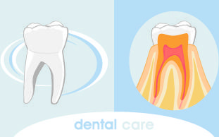 dental backgrounds vector