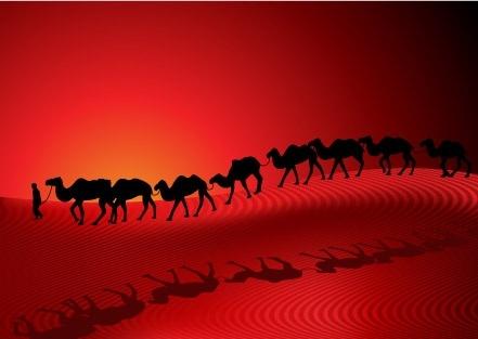desert camel silhouette vector