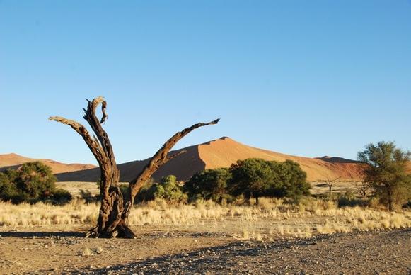 desert dune namibia