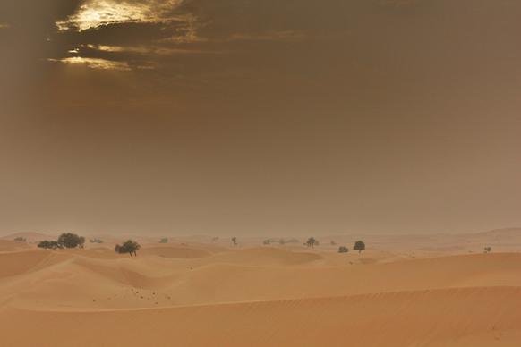 desert sands 2