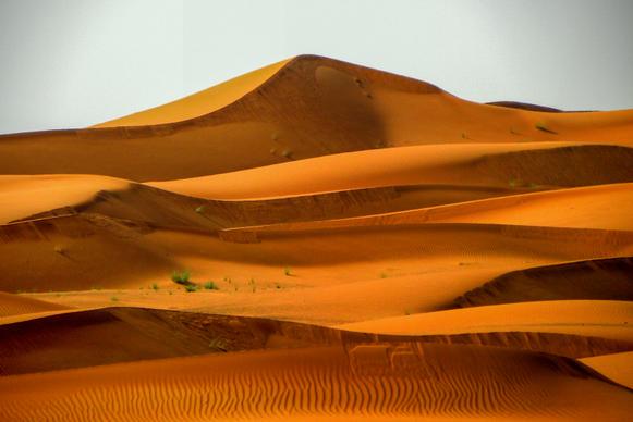 desert scenery picture contrast modern 