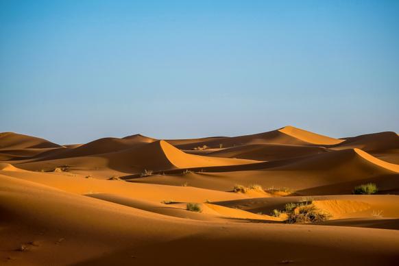 desert scenery picture modern realistic 