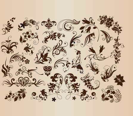 design floral set vector illustration