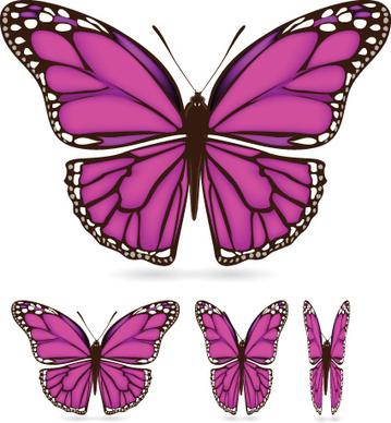 different color butterfly sample vector