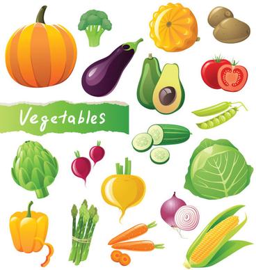 different fresh vegetables vector graphics